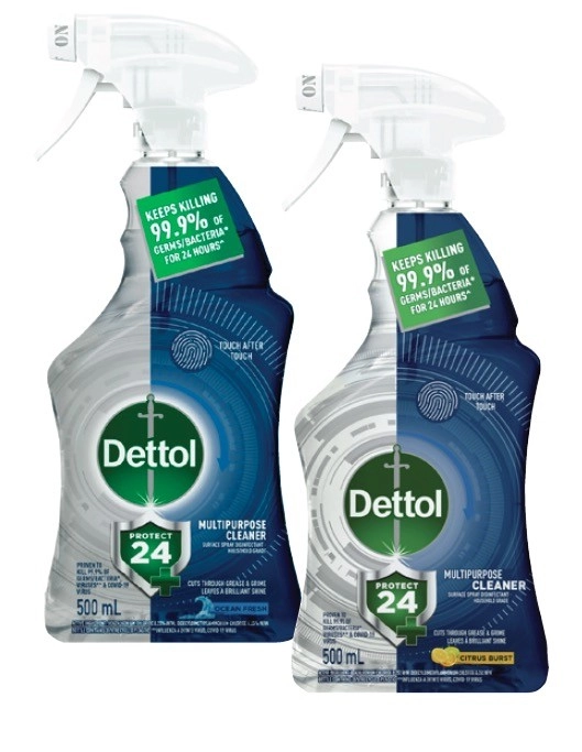Dettol Protect 24 Hour Trigger 500mL