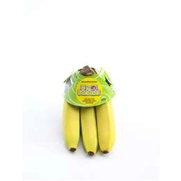  Bananas Kids  5 Pack