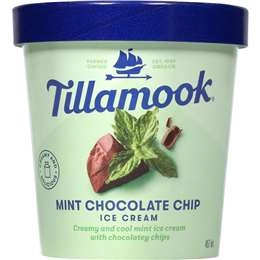  Tillamoook Mint Choc Chip Ice Cream 457ml