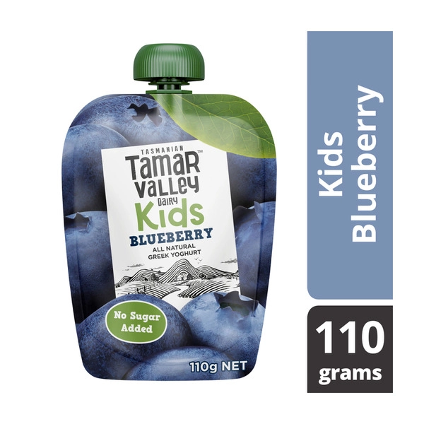 Tamar Valley Kids Greek Blueberry Yoghurt Pouch 110g